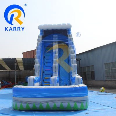 Air Blower Accessories Inflatable Palm Tree Water Slide with Water Pool and Trampoline