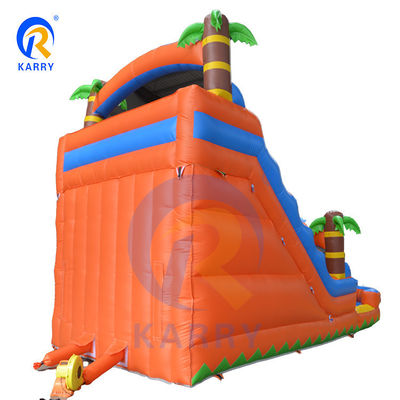 Water Spray Palm Tree Slide Inflatable Combo Pool and Double Slide for Children's Play