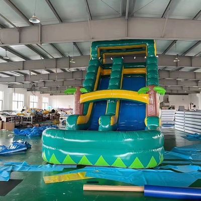 Customized Color Inflatable Water Slide Popular Backyard Commercial Kids Adults Size