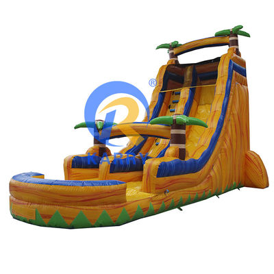 Commercial Customized Color Inflatable Pool Slide with Water Park Design