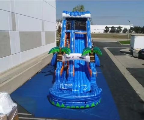 Tropical Inflatable Combo Slide Water Park Equipment Bring the Beach to Your Backyard