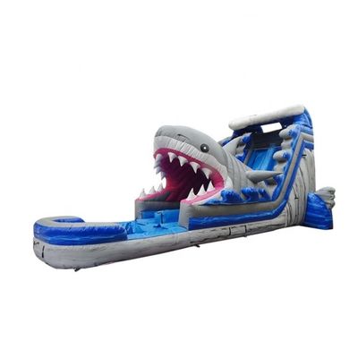 Popular Inflatable Water Park Equipment Big Blue 3D Shark Water Slides with Swimming Pool