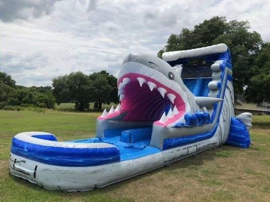 Popular Inflatable Water Park Equipment Big Blue 3D Shark Water Slides with Swimming Pool