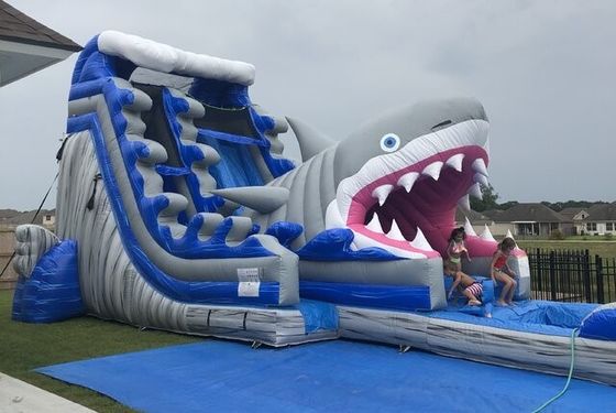 Popular Inflatable Water Park Equipment Big Blue 3D Shark Water Slides with Swimming Pool