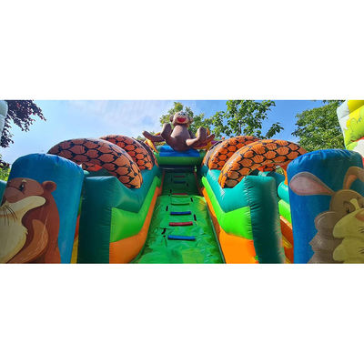 Customized Color Safari Park Inflatable Bouncer for Children's Fun at Outdoor Park