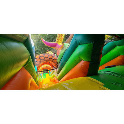 Customized Color Safari Park Inflatable Bouncer for Children's Fun at Outdoor Park