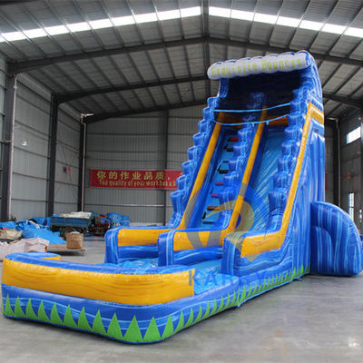 CE 220v-240v or 110v-120v Customized Size Inflatable Water Slide for Summer Party Fun