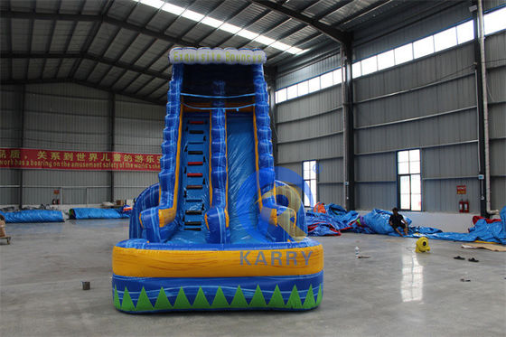 CE 220v-240v or 110v-120v Customized Size Inflatable Water Slide for Summer Party Fun