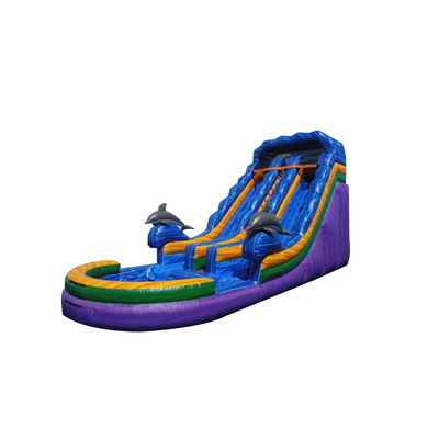 Express Shipping Unisex Bounce Slider Inflatable Water Slide with Pool Juegos Games