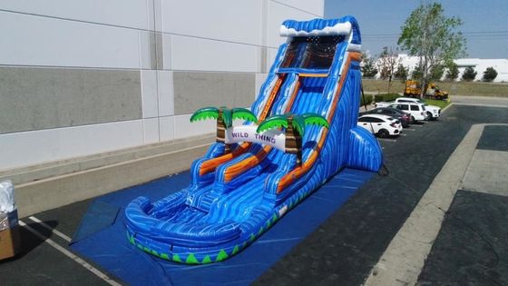 Occasion Commercial Inflatable Juegos Marble Palm Tree Bouncer Slide for Outdoor Play