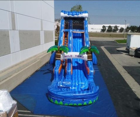 Occasion Commercial Inflatable Juegos Marble Palm Tree Bouncer Slide for Outdoor Play