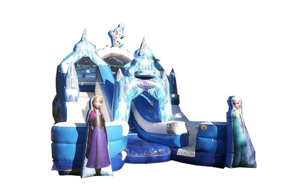 Customized Color Cartoon Character Double Outdoor Frozen Inflatable Slide for Kids Party