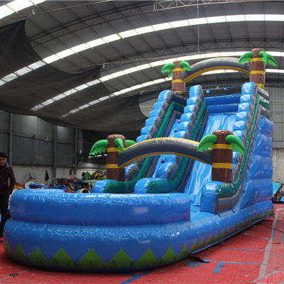 Customized Inflatable Pool Slides for Outdoor Large Party Rental CE/ROSE Certified