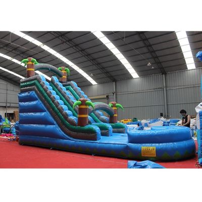 Customized Inflatable Pool Slides for Outdoor Large Party Rental CE/ROSE Certified