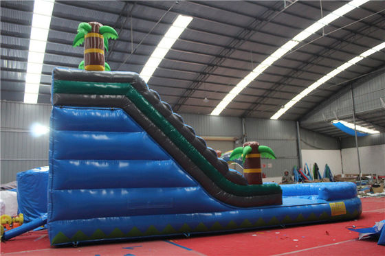 Customized Inflatable Pool Slides for Outdoor Large Party Rental CE/ROSE Certified