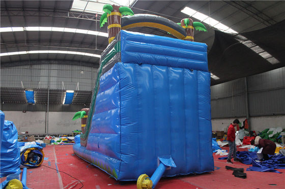 Customized Inflatable Pool Slides for Outdoor Large Party Rental CE/ROSE Certified