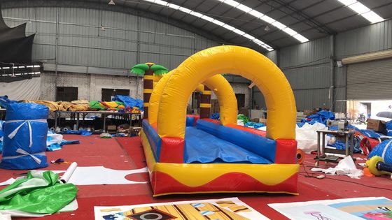 0.55mm PVC Tarpaulin Flat Slide Palm Tree Commercial Inflatable Water Slide for Adults