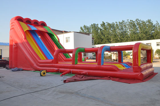 Custom Design Tropical Theme Inflatable Water Slide With Pool for Kids and Adults
