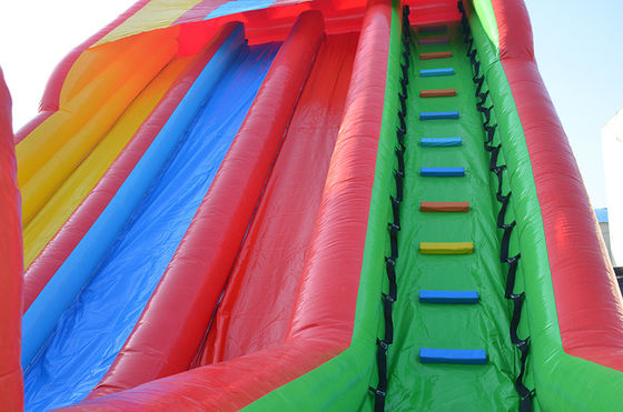Custom Design Tropical Theme Inflatable Water Slide With Pool for Kids and Adults
