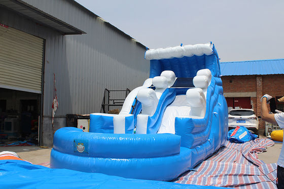 Custom Design Tropical Theme Inflatable Water Slide With Pool for Kids and Adults