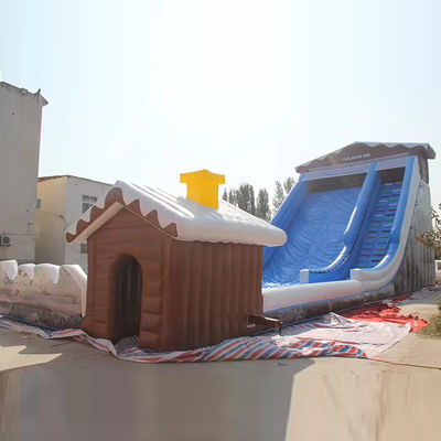 Customized Design PVC Snow Dry Slide Inflatable Toboggan Run Slide for Kids and Adults