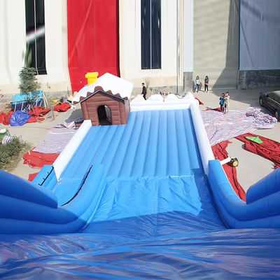Customized Design PVC Snow Dry Slide Inflatable Toboggan Run Slide for Kids and Adults