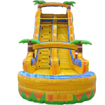 Commercial Occasion Multi-Color Palm Tree Inflatable Water Slide with Small Pool