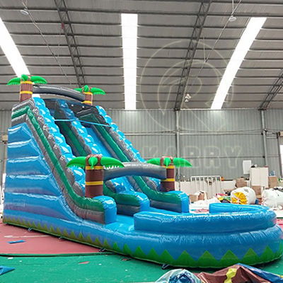 Commercial Occasion Multi-Color Palm Tree Inflatable Water Slide with Small Pool