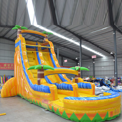 Commercial Occasion Multi-Color Palm Tree Inflatable Water Slide with Small Pool