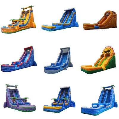 Colorful Palm Tree Design Inflatable Water Slide for Playground 15ft Commercial Grade