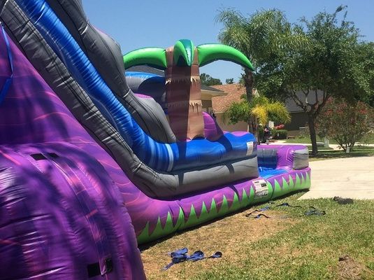 Digital Printing Purple Palm Tree Commercial Inflatable Water Slide for Adults and Kids