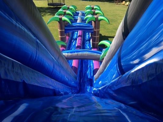 Digital Printing Purple Palm Tree Commercial Inflatable Water Slide for Adults and Kids