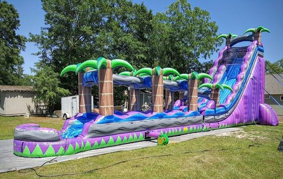 Digital Printing Purple Palm Tree Commercial Inflatable Water Slide for Adults and Kids