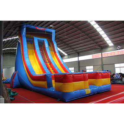 Max Capacity 100-500kg Commercial Inflatable Water Slide with Swimming Pool and Dual Lane