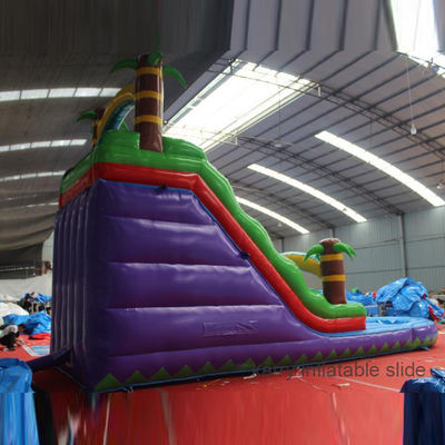 Customized Backyard Inflatable Water Slide and Trampoline for Kids Swimming Adventure