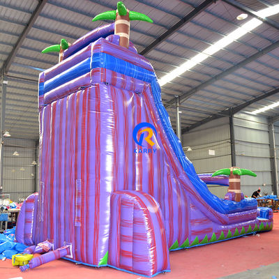 Commercial Inflatable Pool Slides with Colorful Palm Purple Marble Jumping Slide
