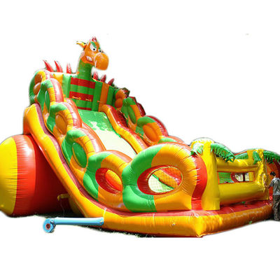 Stimulating Inflatable Water Slide for Adults and Kids Large Commercial Bounce Slide