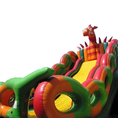 Floating Pool Hurricane Inflatable Bouncy Castle Slide Combo Adult Size Angry Dinosaur
