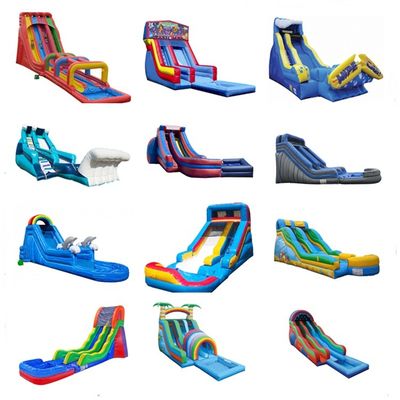 Max Capacity 100-500kg Clearance Above Ground Pool Water Slide with Pool and Blower