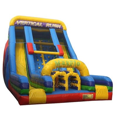 Children's Rock Climbing Competitive Game Double Slide Inflatable Water Slide for Kids