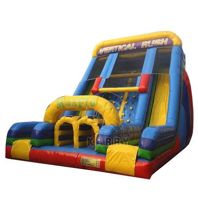 Children's Rock Climbing Competitive Game Double Slide Inflatable Water Slide for Kids
