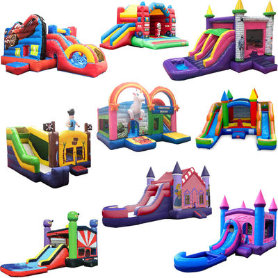 Design Inflatable Bouncer Combo with Two Water Slides and Pool Shipping by Sea/Air
