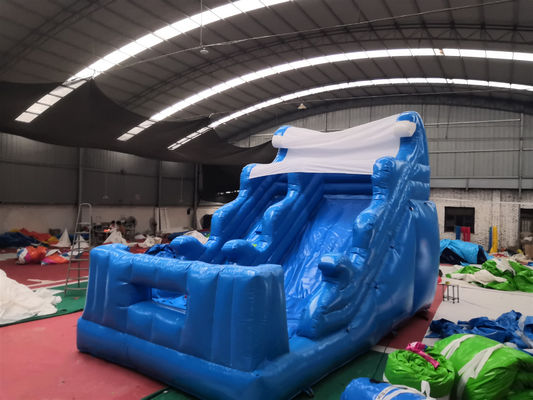 Commercial Inflatable Wet Slides with Pool and Air Blower Kid-Friendly Bouncer Castle