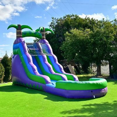 Outdoor Occasion Grey Inflatable Water Slide with Three Arch Bouncing and Swimming Pool