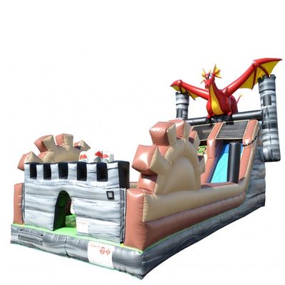 Outdoor Inflatable Bounce Slide with Swimming Pool and Printing Bouncer