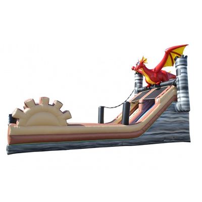 Outdoor Inflatable Bounce Slide with Swimming Pool and Printing Bouncer