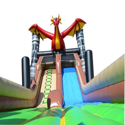 Outdoor Inflatable Bounce Slide with Swimming Pool and Printing Bouncer
