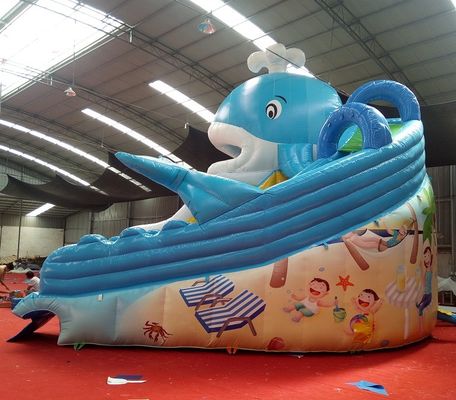 Digital Printing Baby Kids Inflatable Dubai Water Slide with Max Capacity 100-500kg
