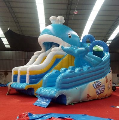 Digital Printing Baby Kids Inflatable Dubai Water Slide with Max Capacity 100-500kg