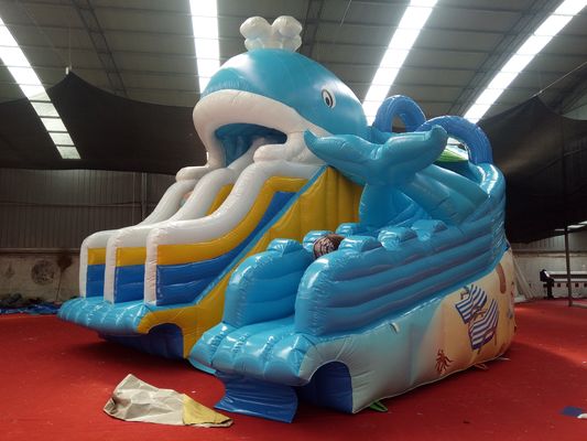 Digital Printing Baby Kids Inflatable Dubai Water Slide with Max Capacity 100-500kg